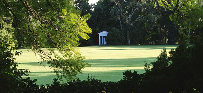 Banner-lawn-care