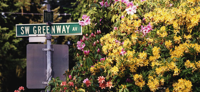 Banner-gardening